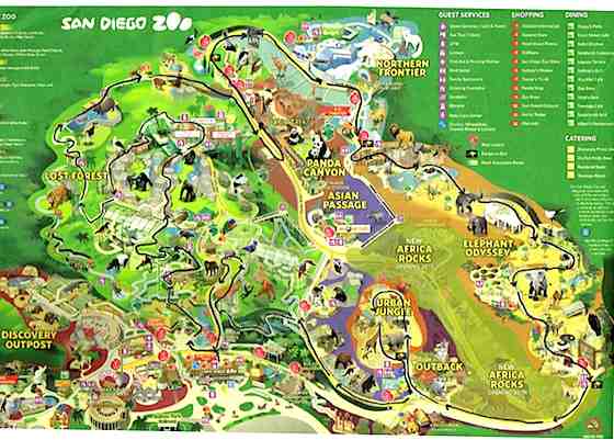 Can you see all of San Diego Zoo in one day?