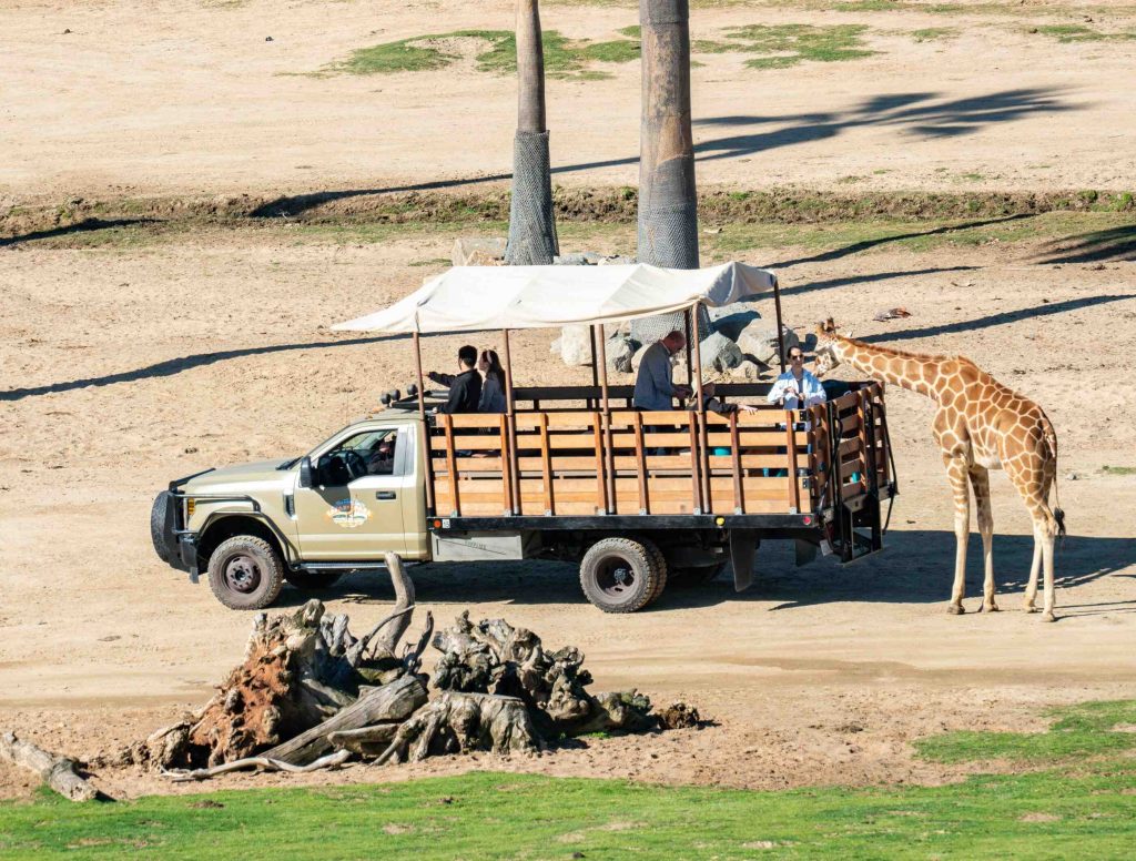 How long does it take to see the San Diego Safari Park?
