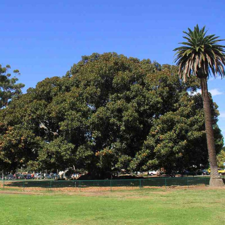 How long does it take to walk through Balboa Park?