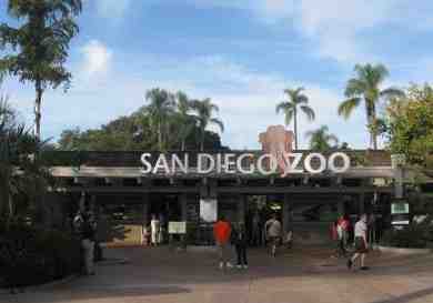 How many miles do you walk at the San Diego Zoo?