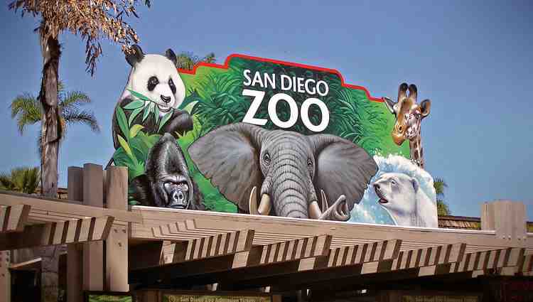 Is the San Diego Zoo open during Covid?