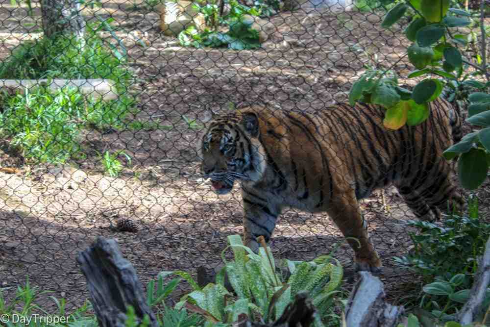 Where is the largest zoo in the USA?