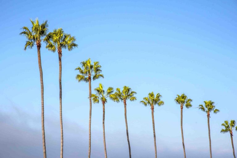 Why is the water so cold in San Diego?